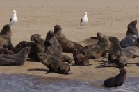 Bootsfahrt in der Lagune