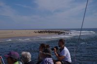 Bootsfahrt in der Lagune