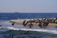 Bootsfahrt in der Lagune