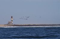 Bootsfahrt in der Lagune