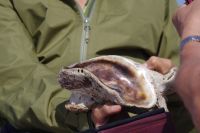 Bootsfahrt in der Lagune