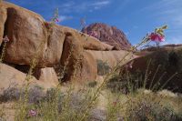 an der Spitzkoppe