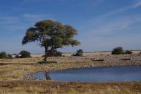 Etosha Nationalpark - Okaukuejo