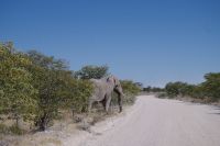 Etosha Nationalpark