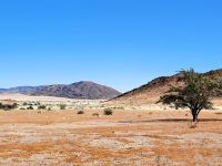 Ausblick von der Lodge