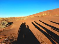 Schattenspiele in der Namib