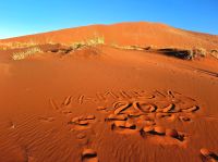 Ausflug ins Sossusvlei