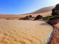 Seenlandschaft in der Namib