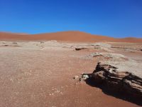 Ausflug ins Sossusvlei