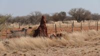 Damaraland - Fahrt in den Etosha Nationalpark (6)