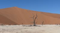 Dead Vlei im Namib Naukluft Nationalpark (1)