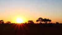 Sonnenuntergang in der Kalahari