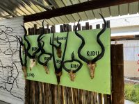 Rasthaus von Joe benannt: Namibische Area 51