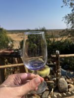 Gin Tasting am Naute Damm