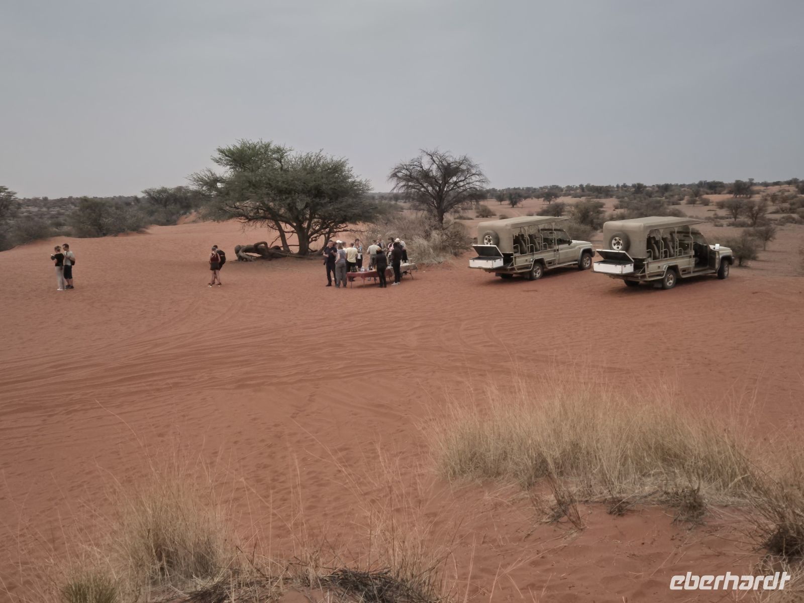 Tag 3 - Kalahari Sundowner