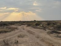 Tag 3 - Stimmung in der Kalahari