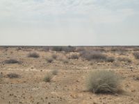 Tag 4 - Fahrtimpression