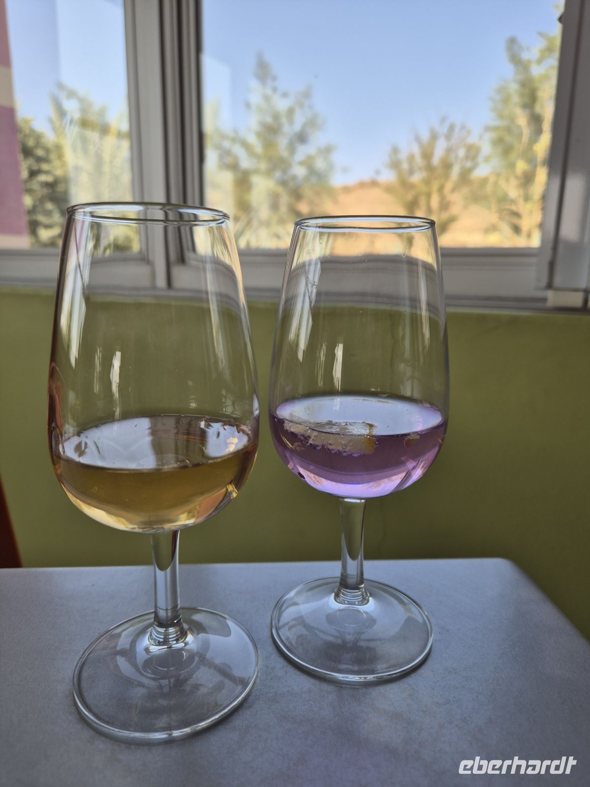 Tag 4 - Farbspiele bei der Ginverkostung im Naute Kristall