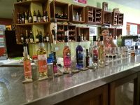 Tag 4 - Ginverkostung Naute Kristall