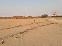 Tag 4 - Im Canyon Village II