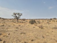 Tag 4 - Zum Köcherbaumwald