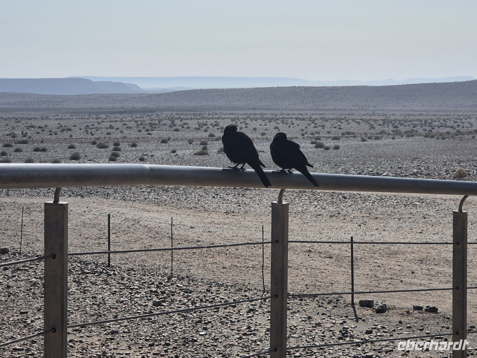 Tag 5 - Fotostars am Fish River Canyon I
