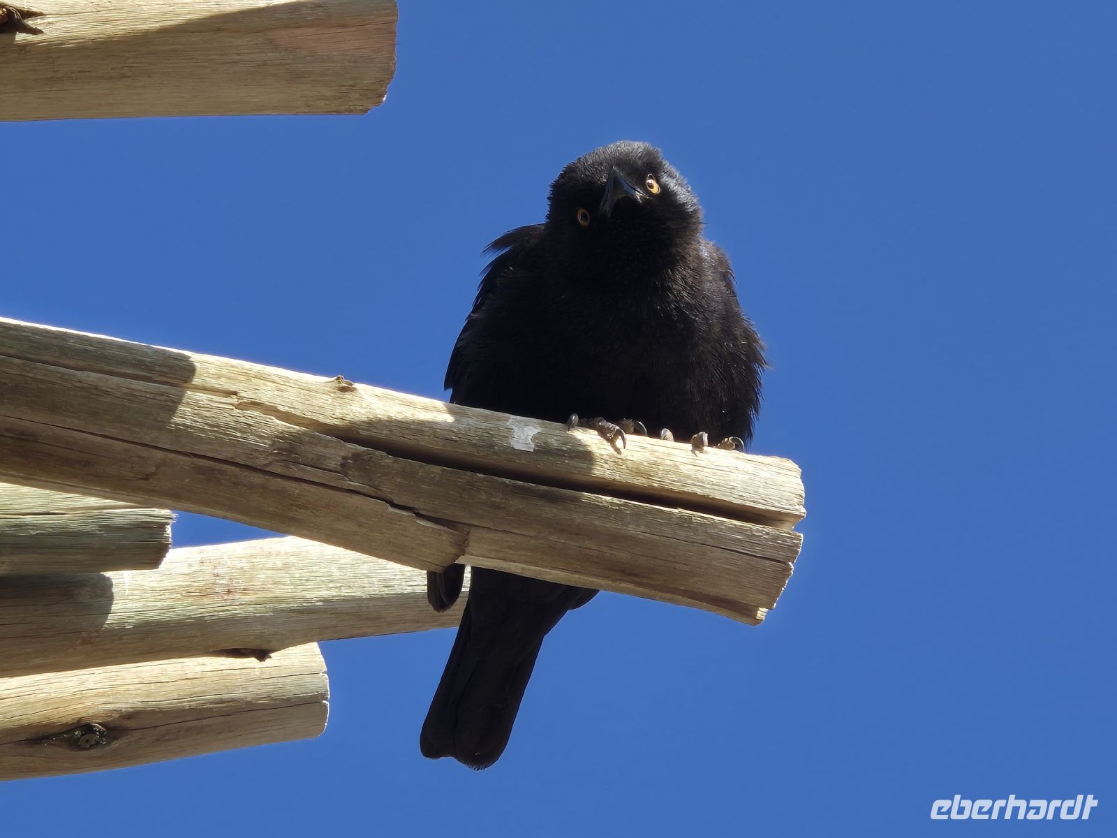 Tag 5 - Fotostars am Fish River Canyon II