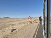 Tag 6 - Achtung besondere Straßenschilder in Namibia