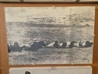 Tag 6 - Kolmanskuppe - Auf der Suche nach Diamanten in den 1920er Jahren