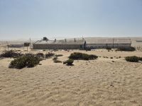 Tag 6 - Kolmanskuppe I