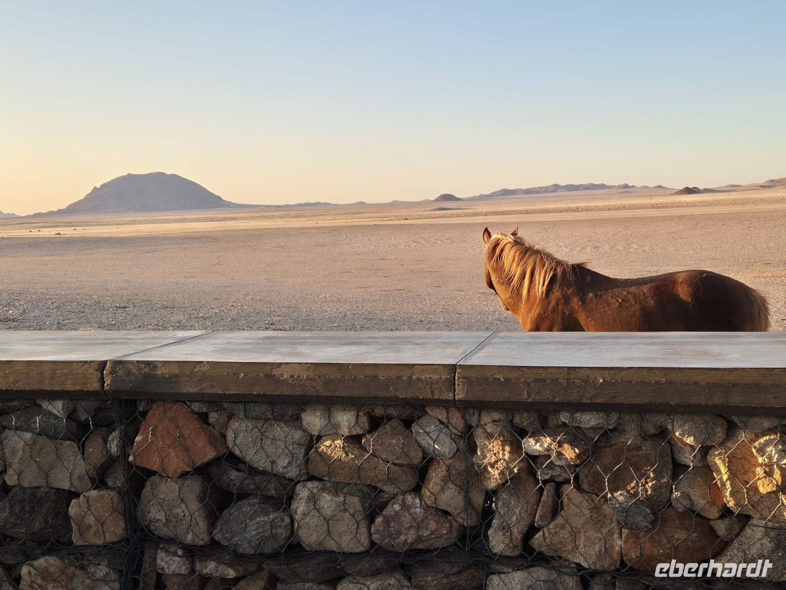 Tag 6 - Wildpferde bei Aus - Perspektiven