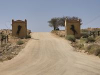 Tag 7 - Wildpferde der Namib als Symbol unserer Lodge II