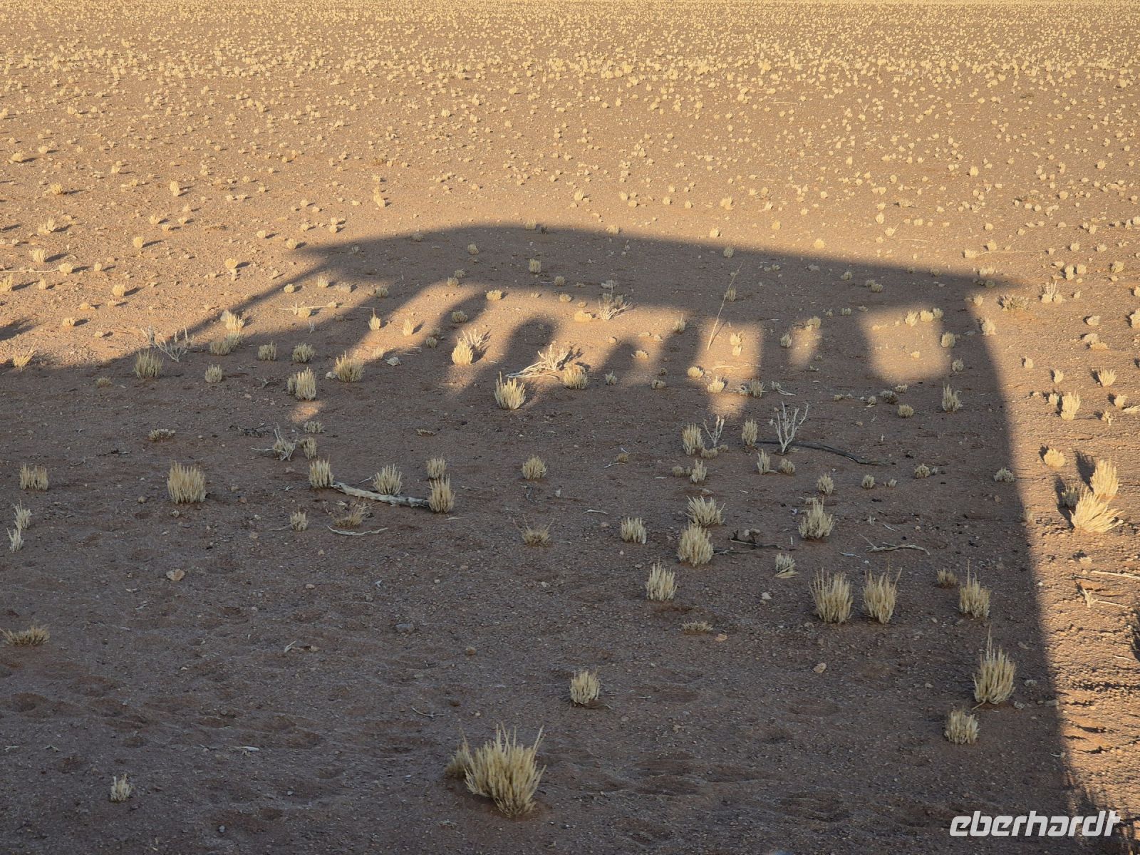 Tag 8 - Sonnenuntergangswüstenfahrtschatten (1)