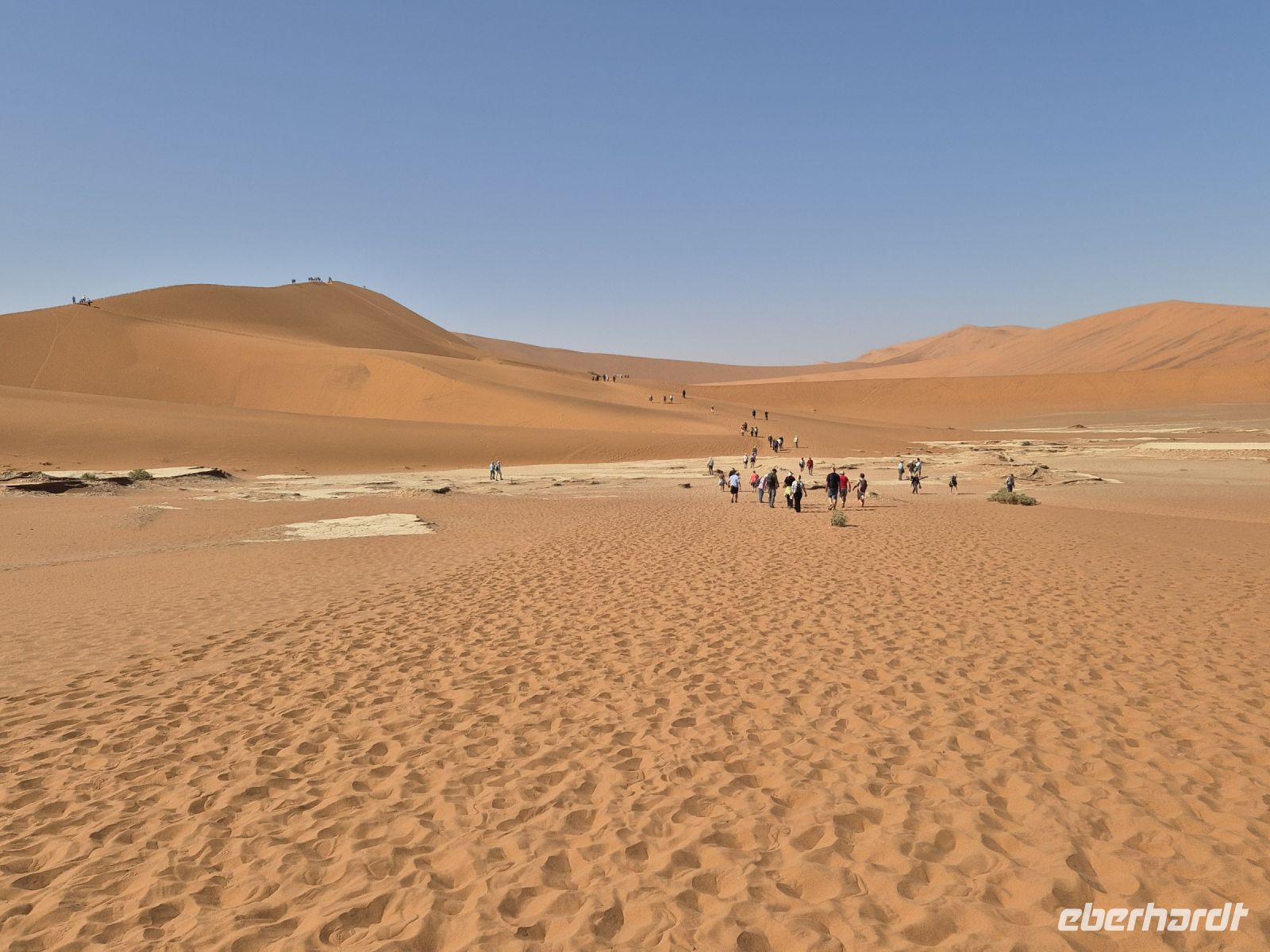 Tag 8 - Sossusvlei - Big Daddy Düne und Weg ins Dead Vlei