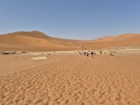 Tag 8 - Sossusvlei - Big Daddy Düne und Weg ins Dead Vlei