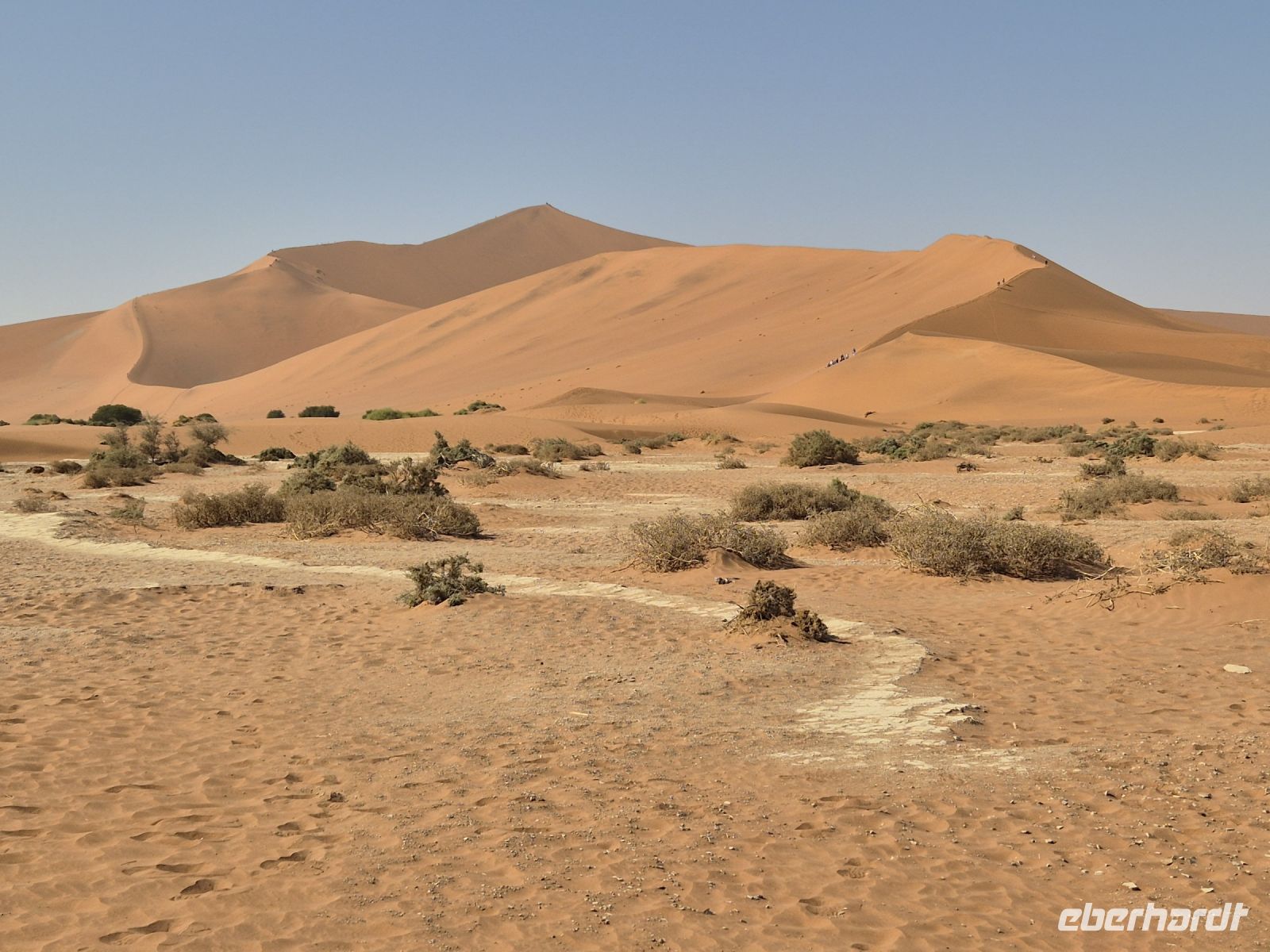 Tag 8 - Sossusvlei - Big Daddy Düne