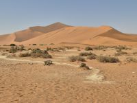 Tag 8 - Sossusvlei - Big Daddy Düne
