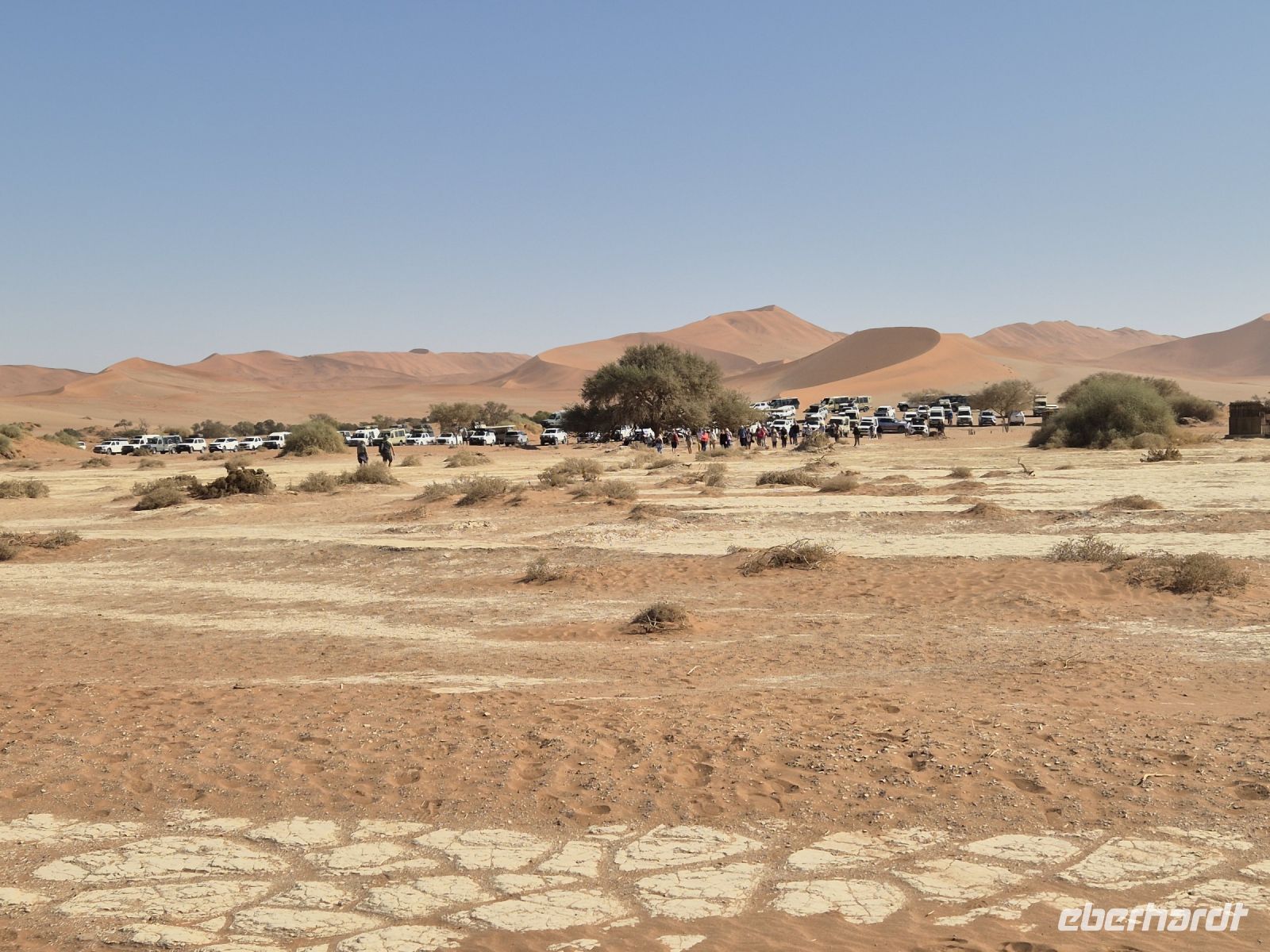 Tag 8 - Sossusvlei - Wüstenparkplatz