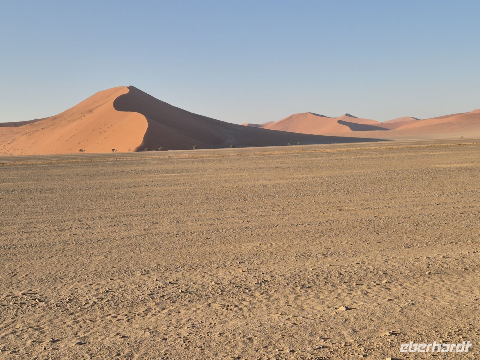 Tag 8 - Sossusvlei III