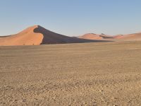 Tag 8 - Sossusvlei III
