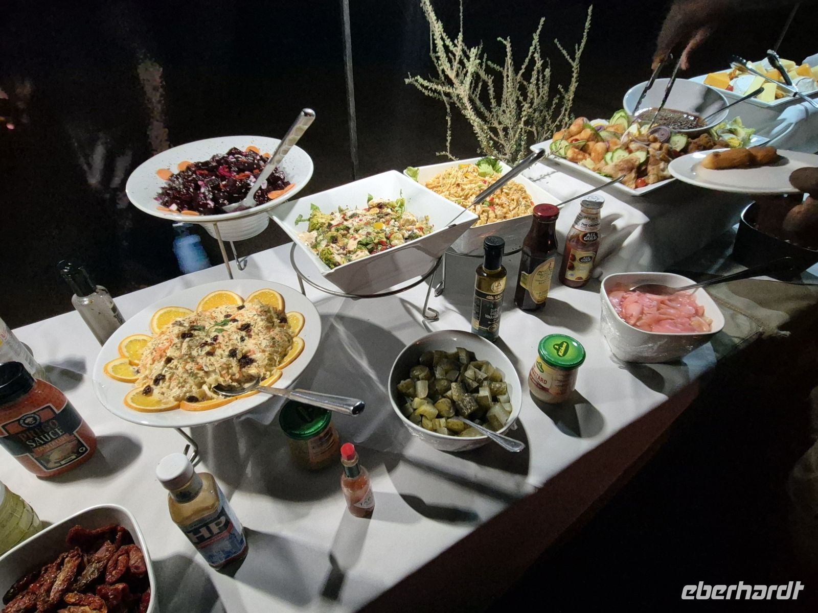 Tag 8 - Wüstendinner - Buffet