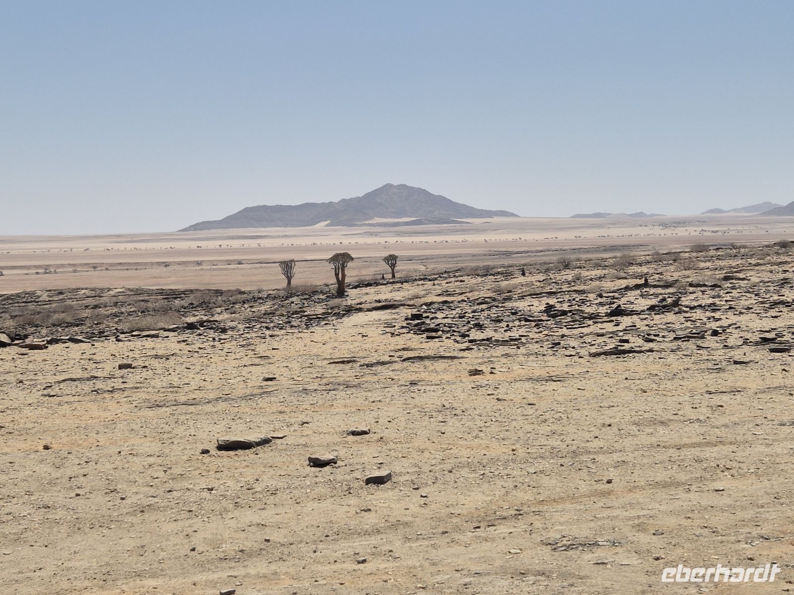 Tag 9 - Fahrtimpression I