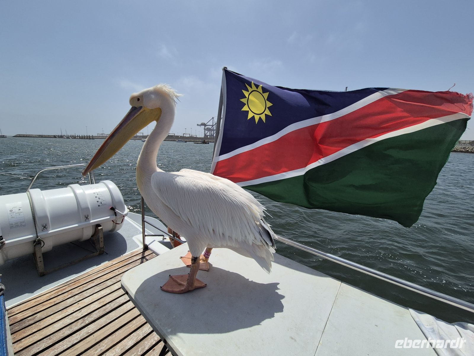 Tag 10 - Katamaranfahrt - Bild mit Symbolcharakter