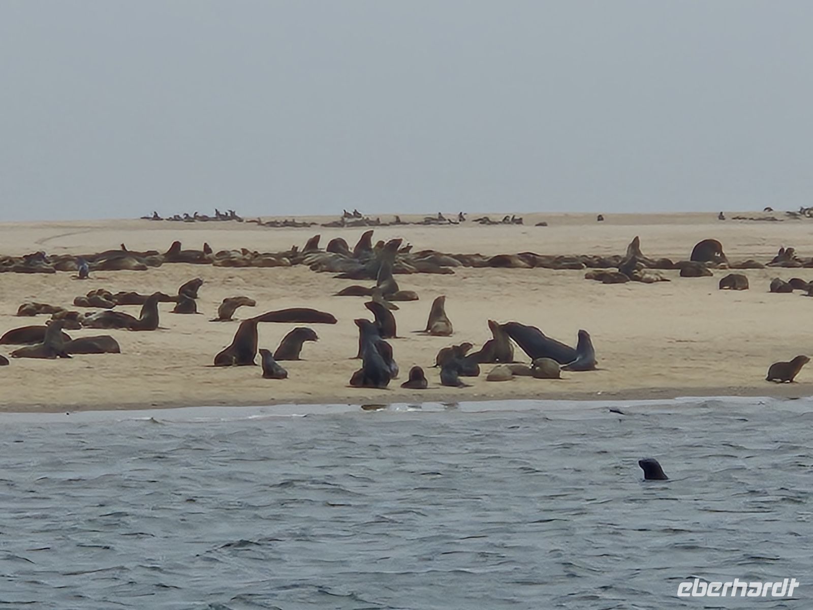 Tag 10 - Katamaranfahrt - Eindrücke IV