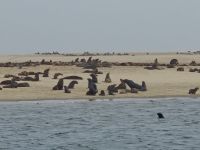 Tag 10 - Katamaranfahrt - Eindrücke IV