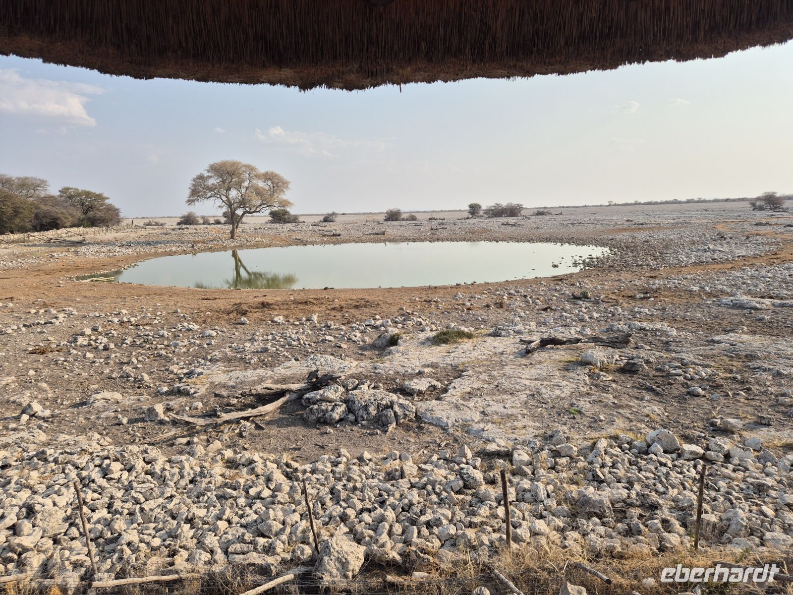 Tag 12 - Etosha NP - Wasserstelle