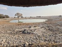 Tag 12 - Etosha NP - Wasserstelle