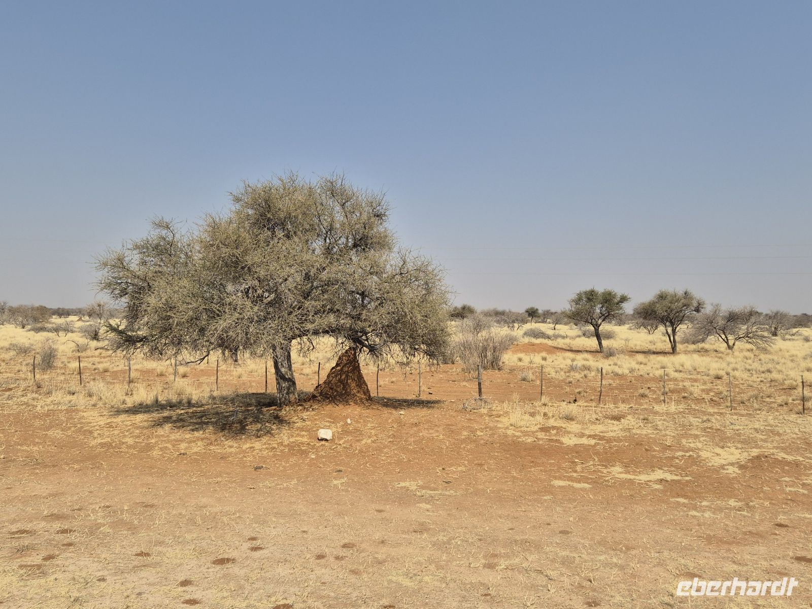 Tag 12 - Fahrtimpression - Termitenhügel