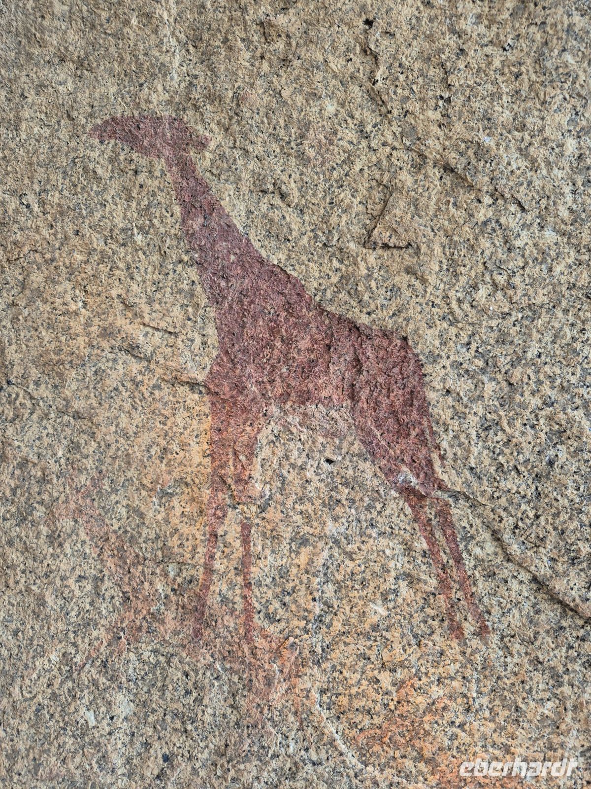 Tag 12 - Sonnenaufgangsspaziergang - Felsmalerei I