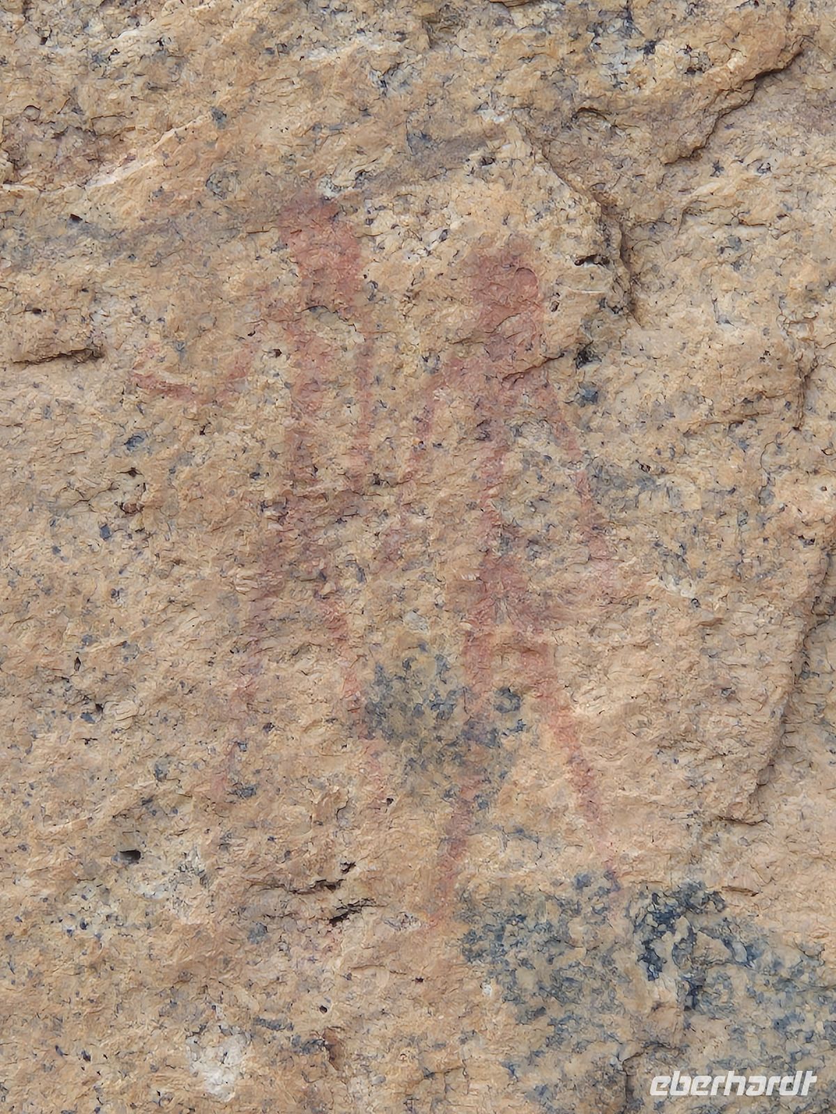 Tag 12 - Sonnenaufgangsspaziergang - Felsmalerei II